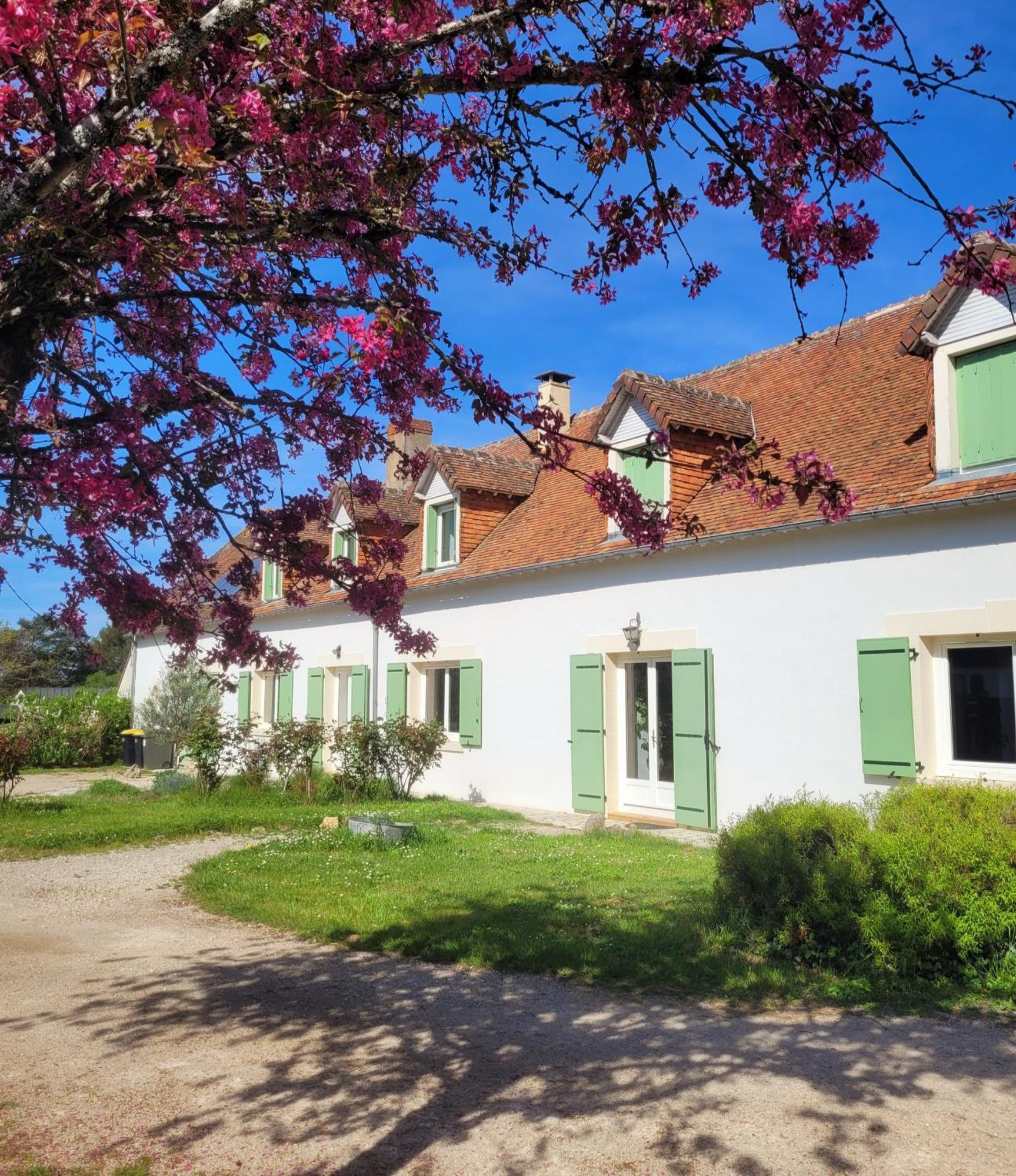 L Amalia Au Coeur Des Chateaux De La Loire Et Du Zoo De Beauval Sambin Exterior photo